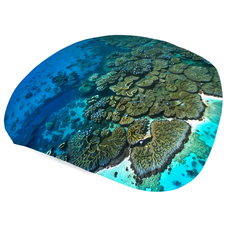Coral Reef Aerial View Png Ips4 PNG