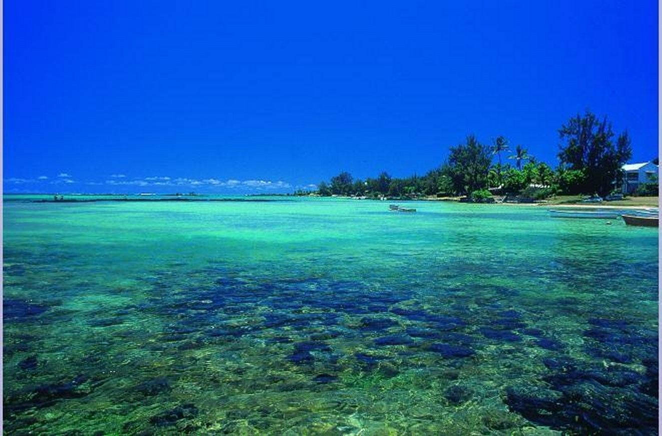 Korallrevpå Mauritius. Wallpaper