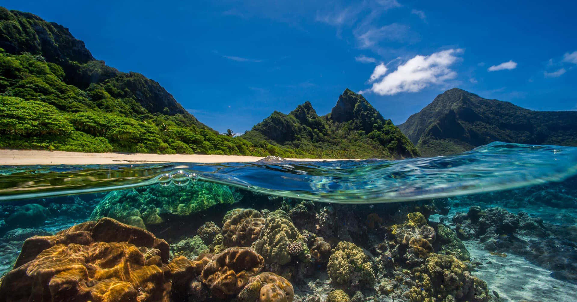 Korallrevetsnationalpark I Amerikanska Samoa Bild.
