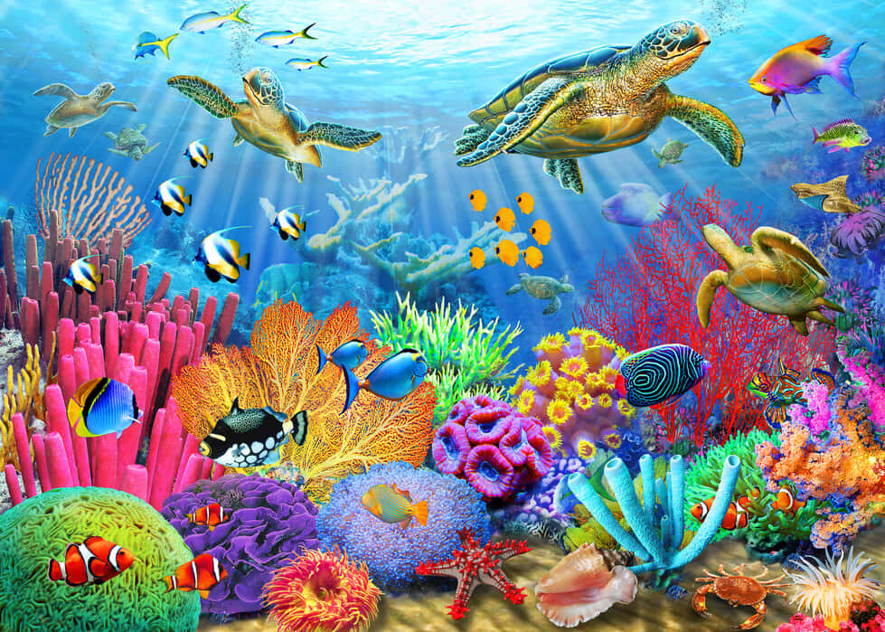 Immaginedi Creature Tropicali Sottomarine Di Barriera Corallina