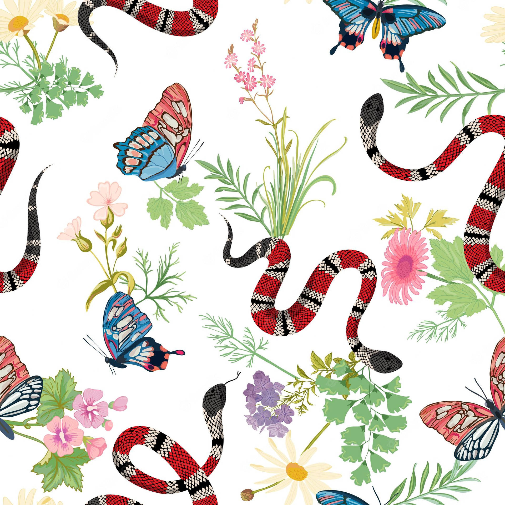 Coral Snake Tropical Butterflies Digital Art Wallpaper