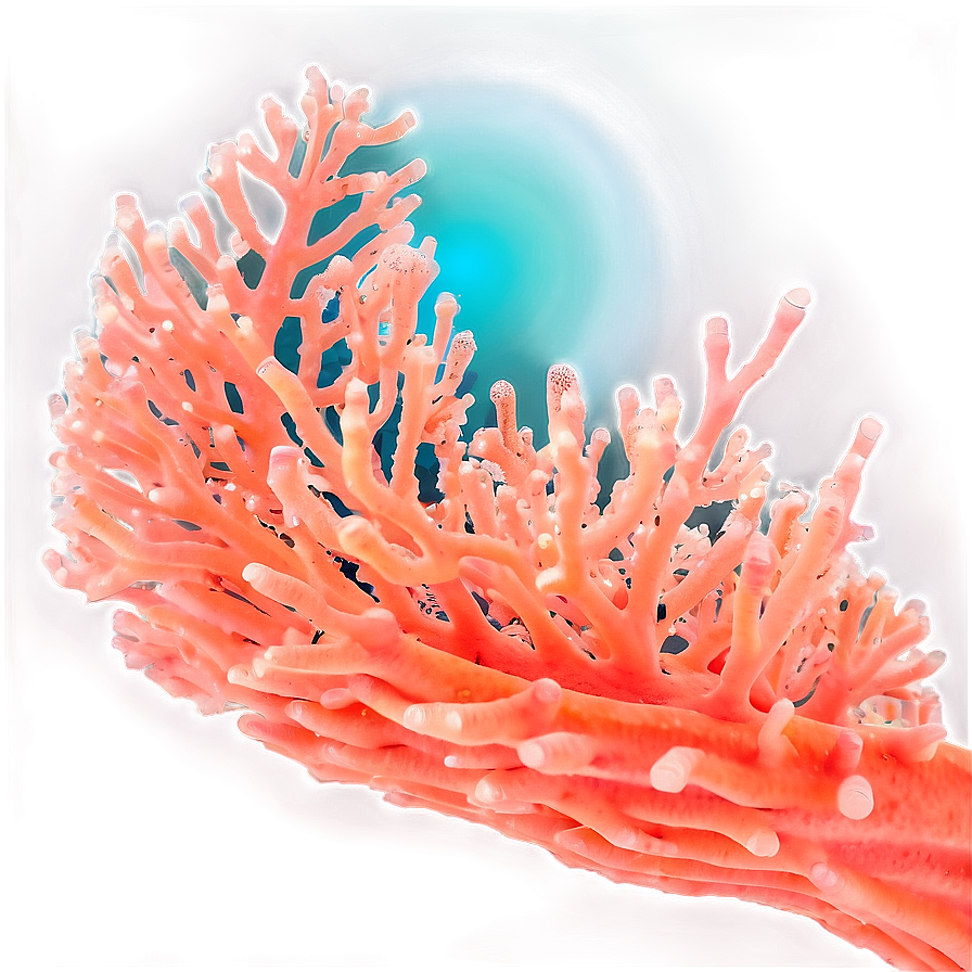 Coral Spawning Event Png Keh56 PNG