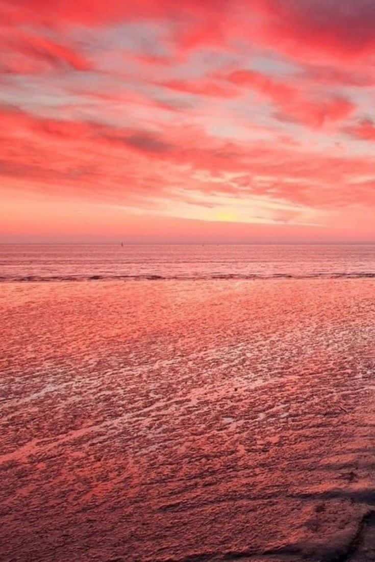Coral Sunset Beachscape Wallpaper
