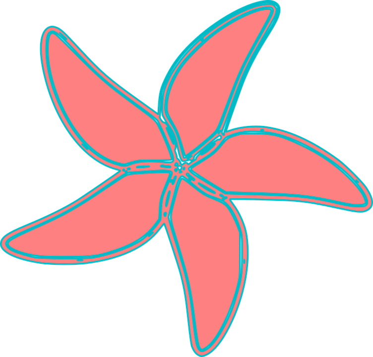 Coral_ Starfish_ Clipart_ Vector PNG