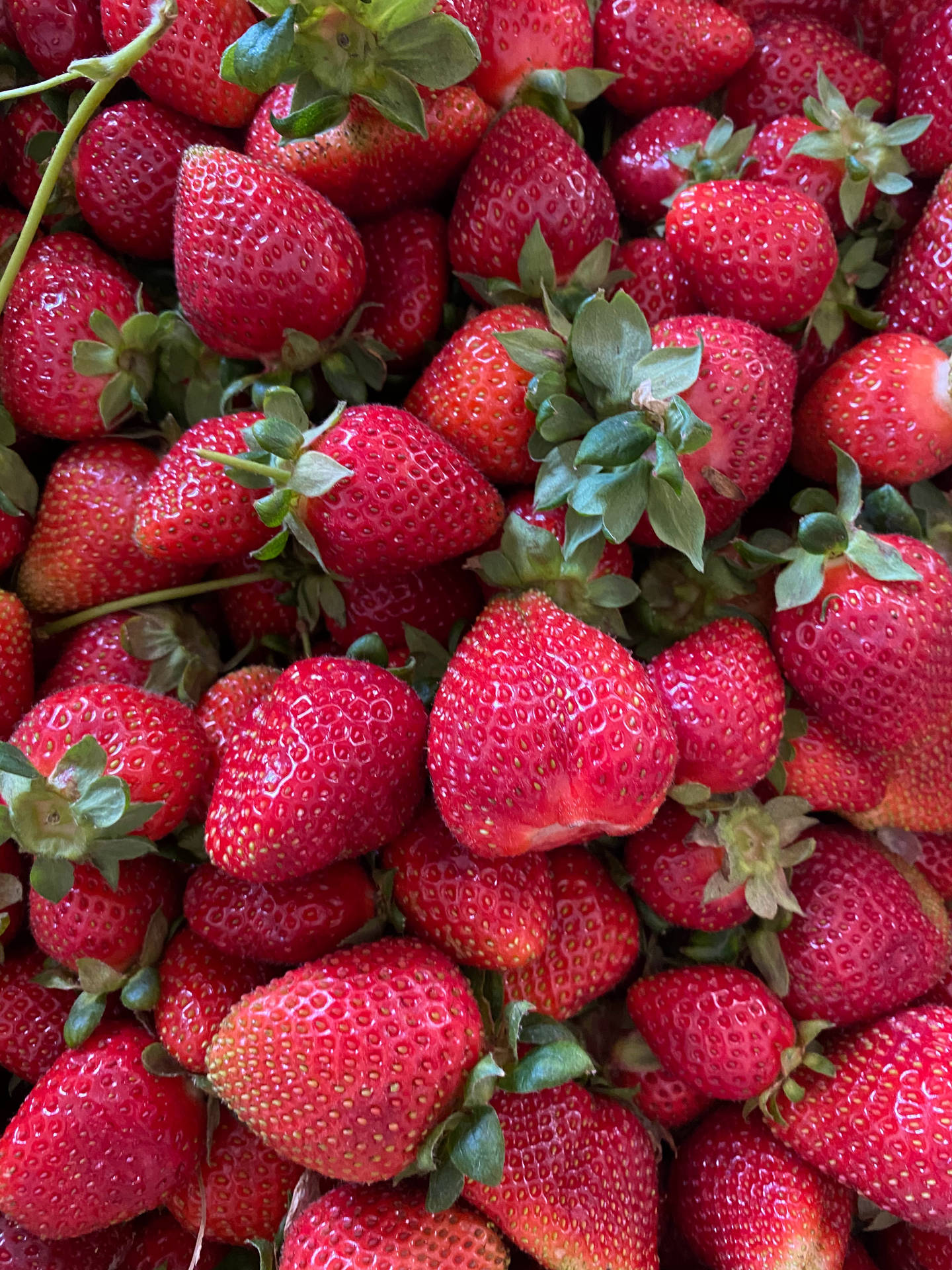 Baixe Papéis de Parede do Cores Vermelhas Brilhantes De Frutas De