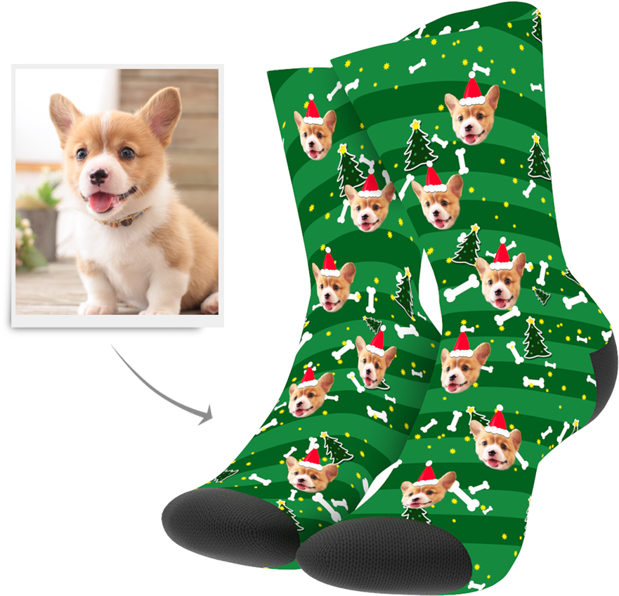 Corgi Christmas Socks Design PNG