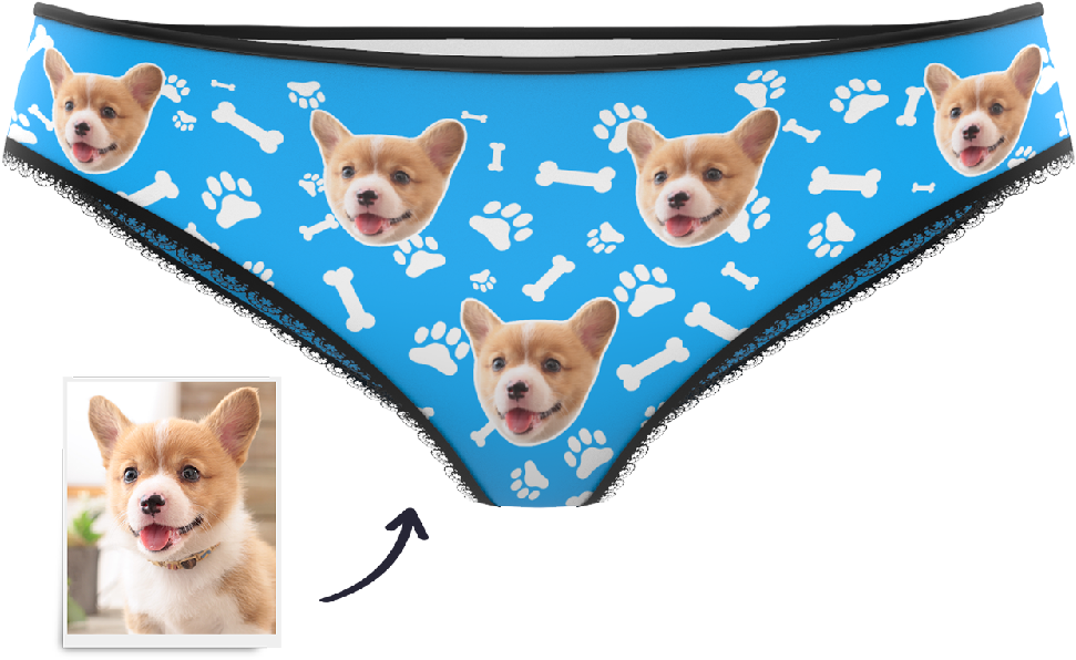 Corgi Print Pantieswith Bone Motif PNG