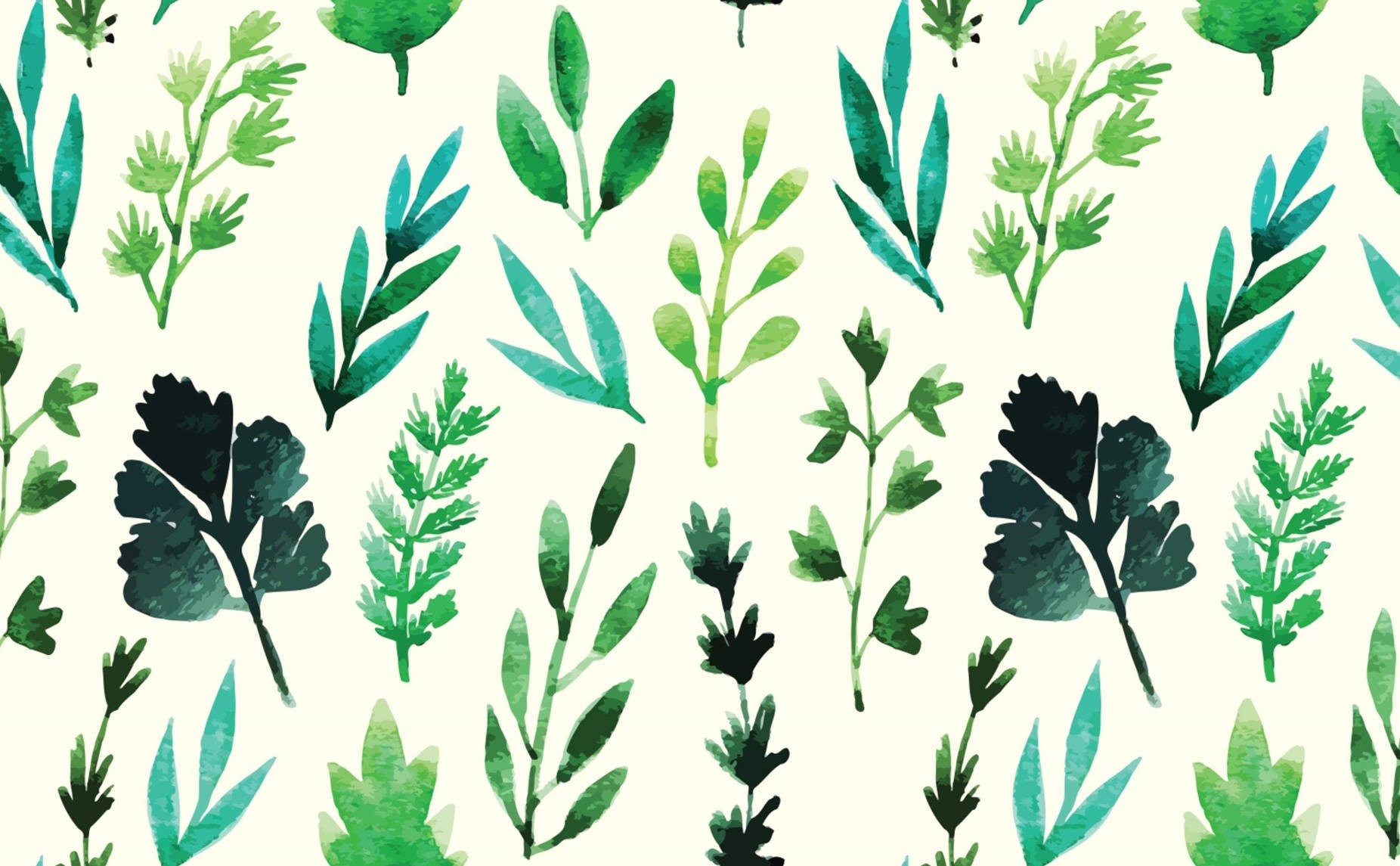 Coriander With Other Herbs Digital Art Wallpaper