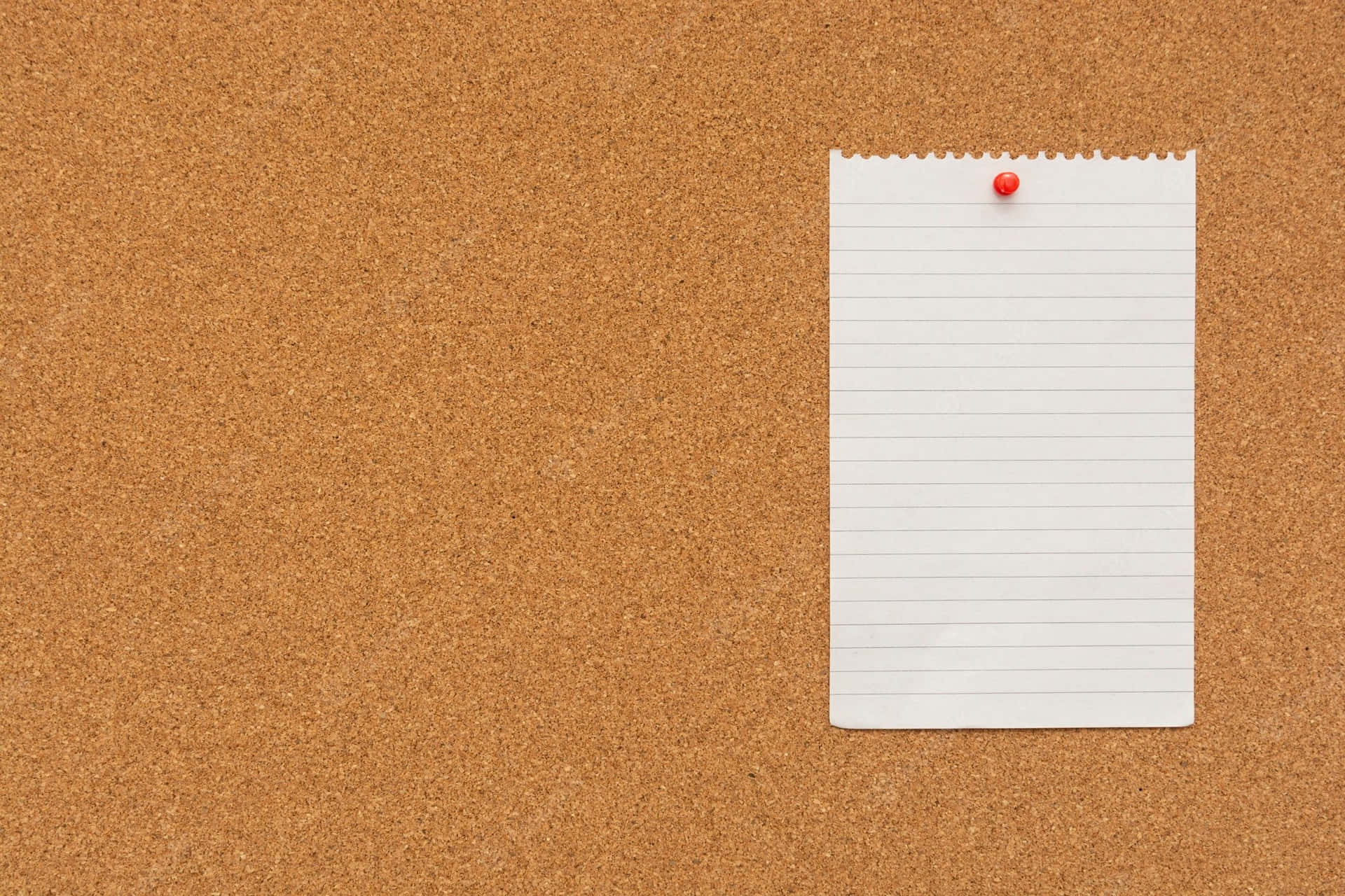 Blank Note Paper On A Corkboard