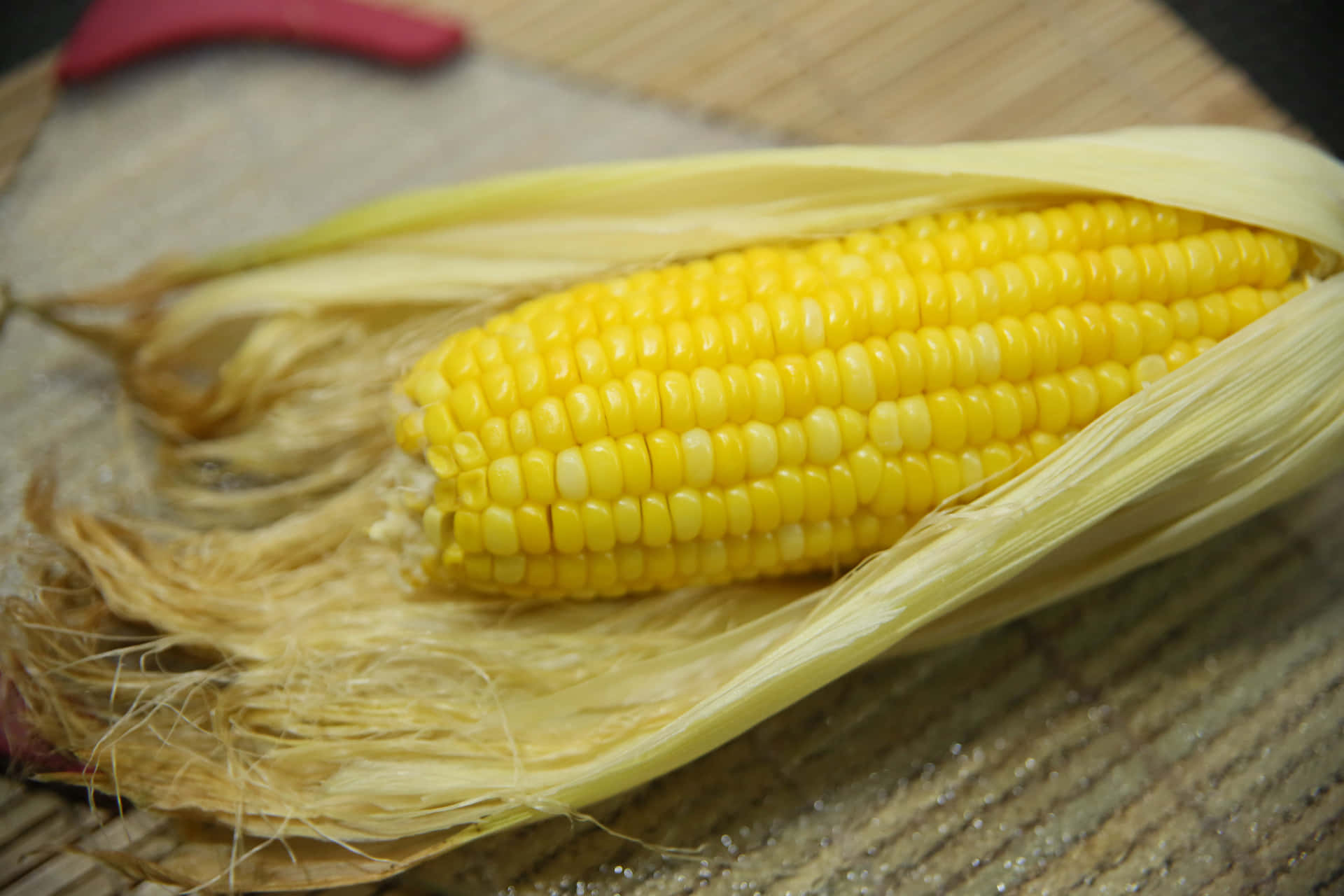 Golden Corn Close-up