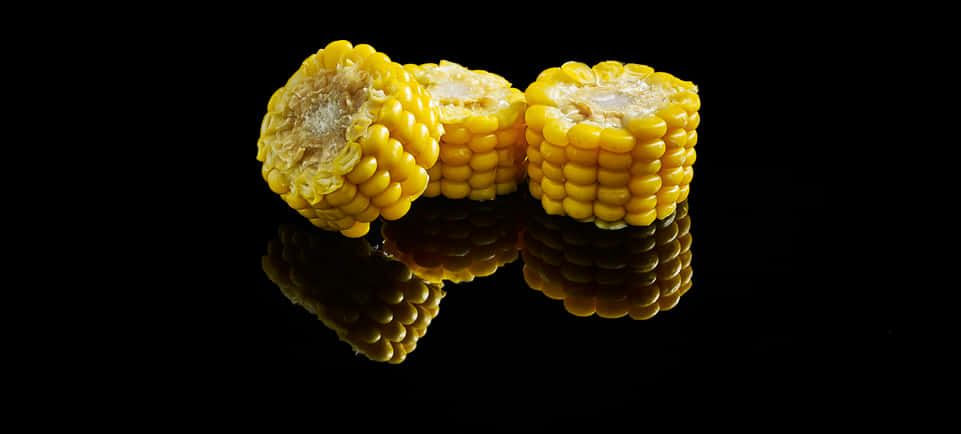 Corn Cob Reflectionon Black Background PNG