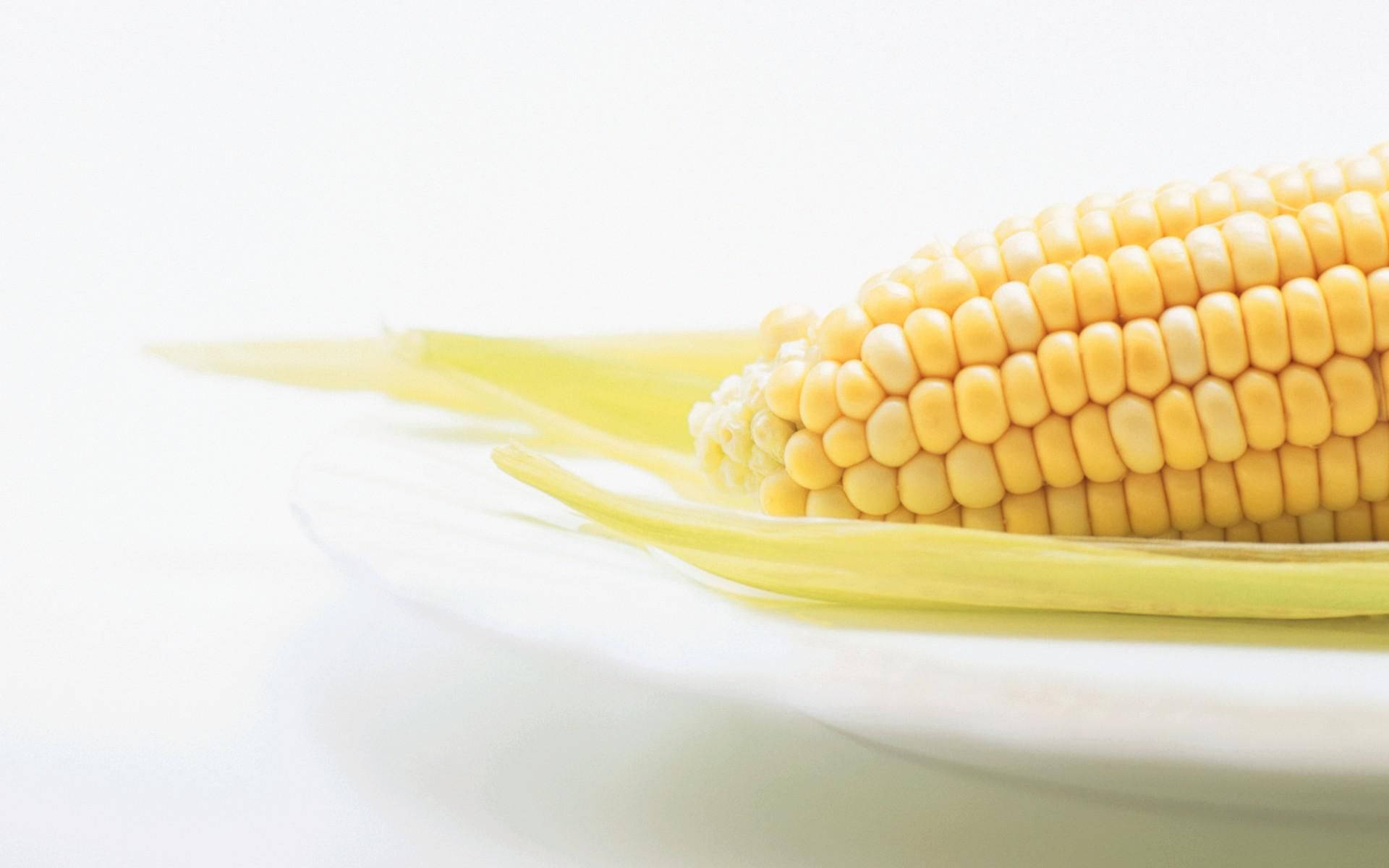 Corn note. Кукуруза. Кукуруза фон. Вареная кукуруза. Кукуруза (зерно).