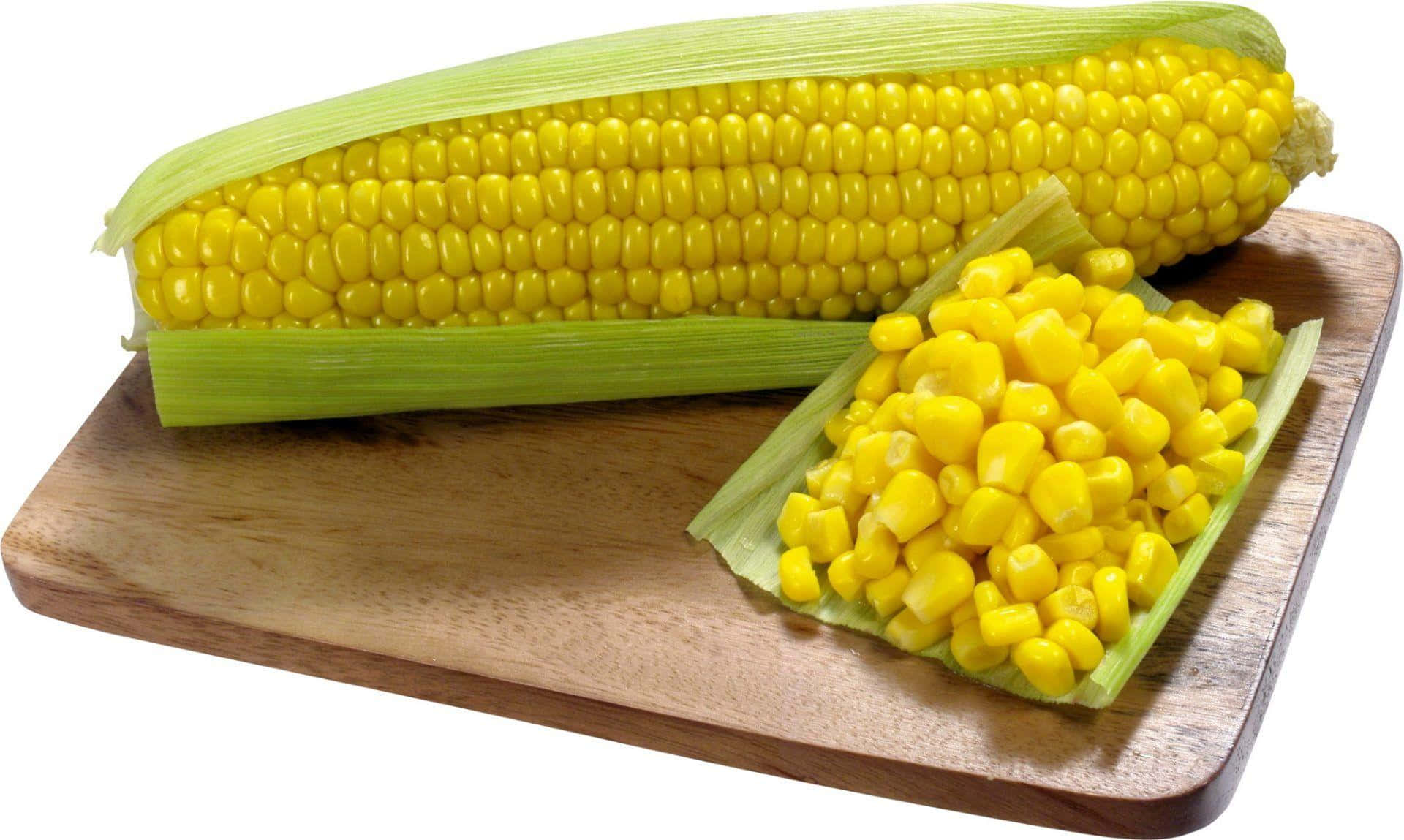 Corn Pictures