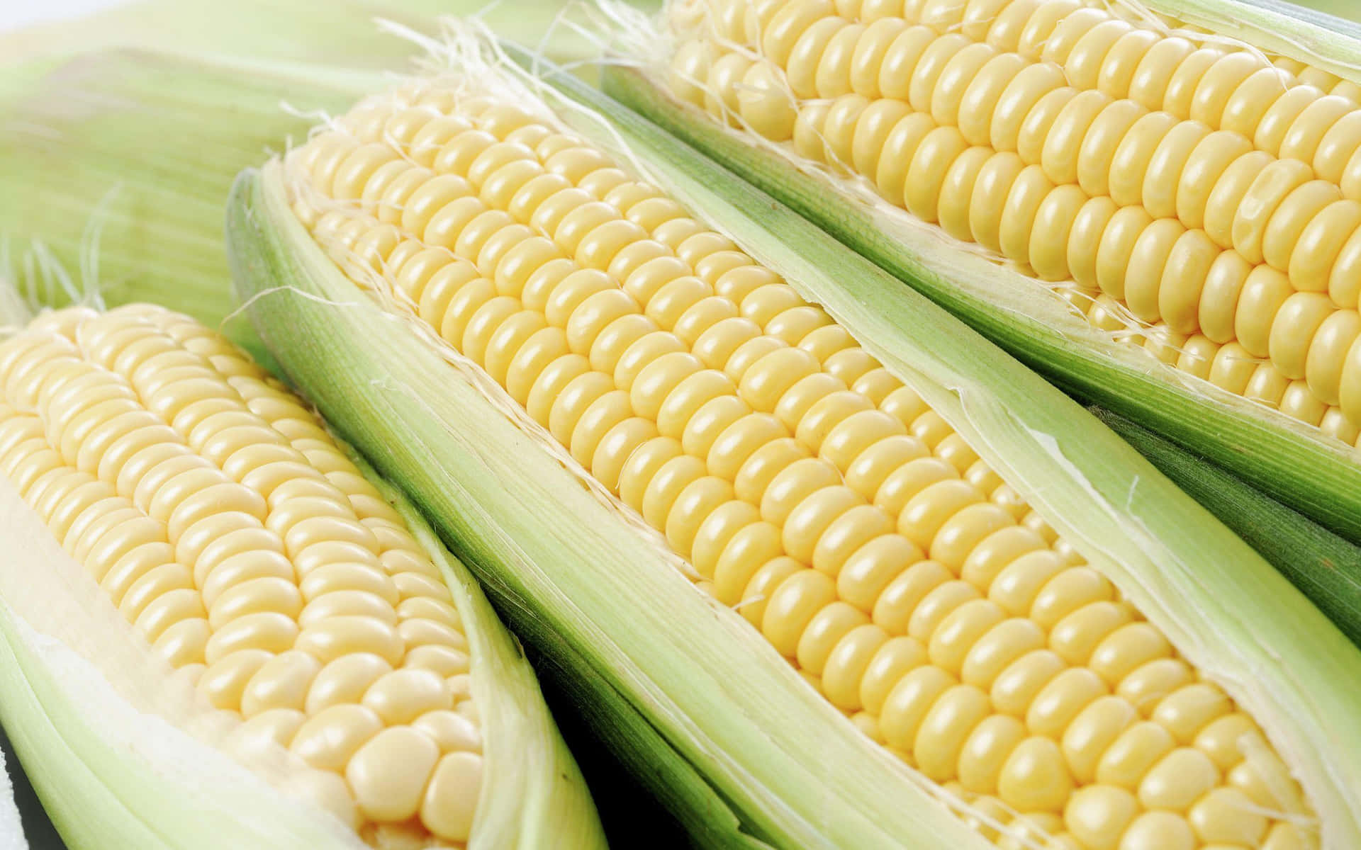 A Close Up Of Corn On The Cob