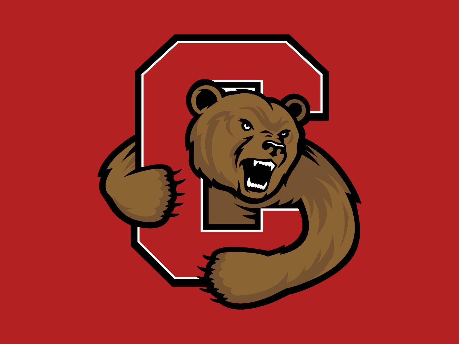 Lamascotte Dell'università Di Cornell, L'orso Sfondo