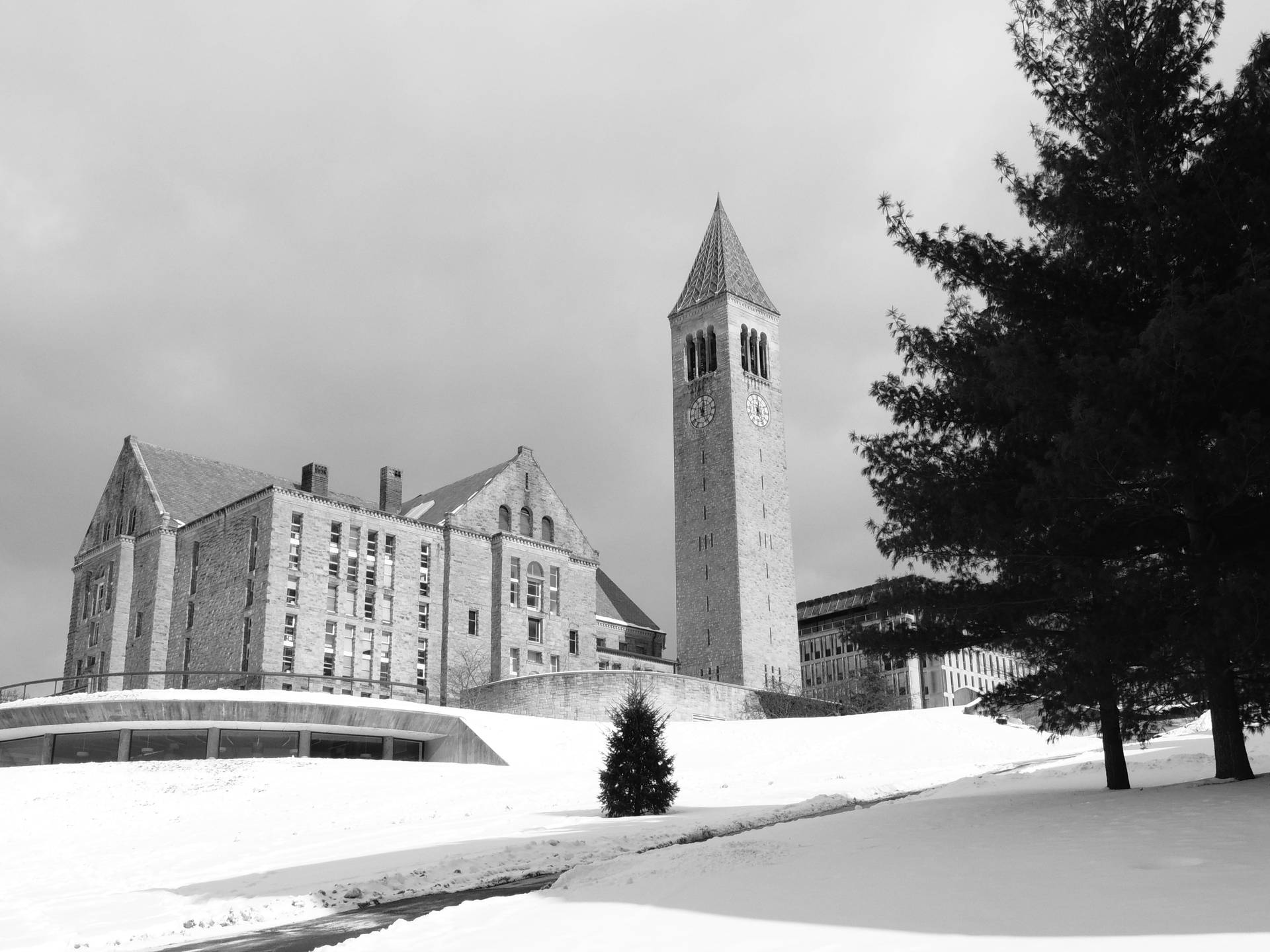 Cornelluniversity In Bianco E Nero Sfondo