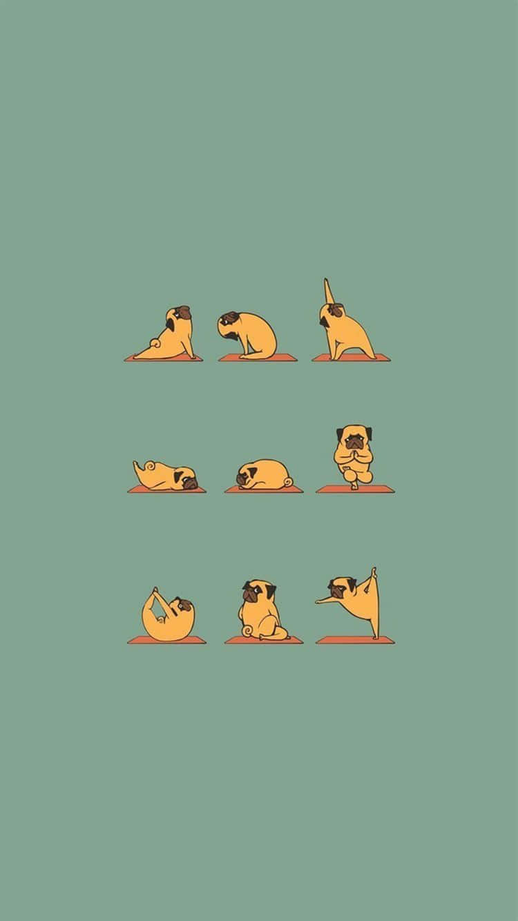 Corny Dog Doing Yoga [wallpaper] Wallpaper