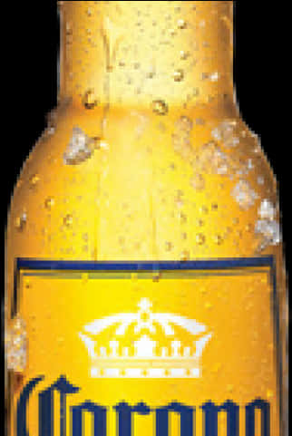 Corona Beer Bottle Closeup PNG