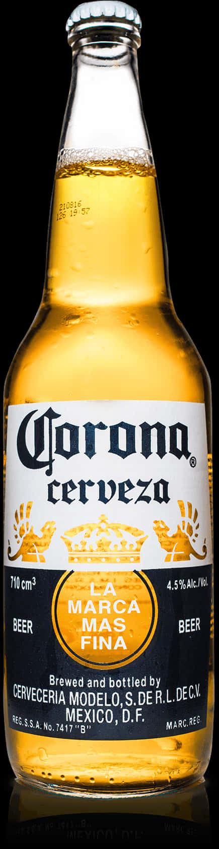 Corona Beer Bottle Studio Shot PNG