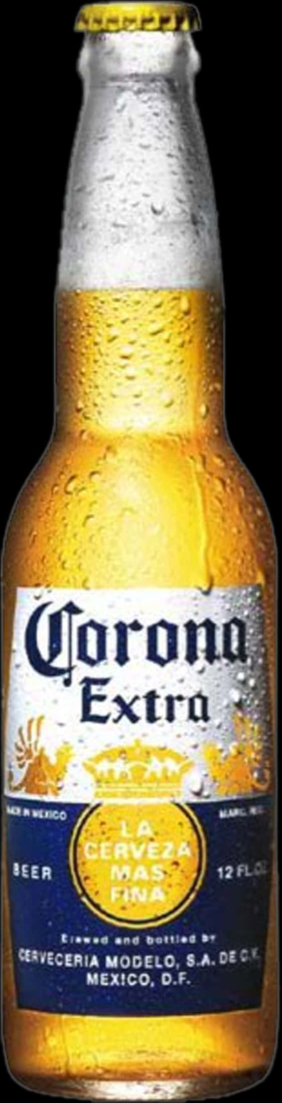 Corona Extra Beer Bottle PNG