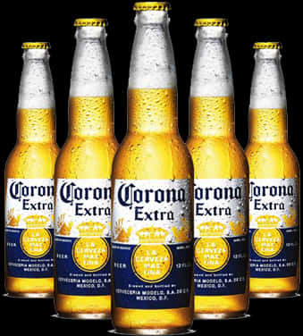 Download Corona Extra Beer Bottles | Wallpapers.com