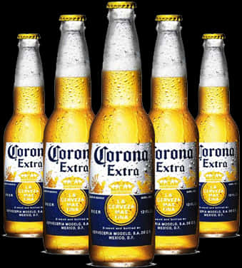 Corona Extra Beer Bottles PNG