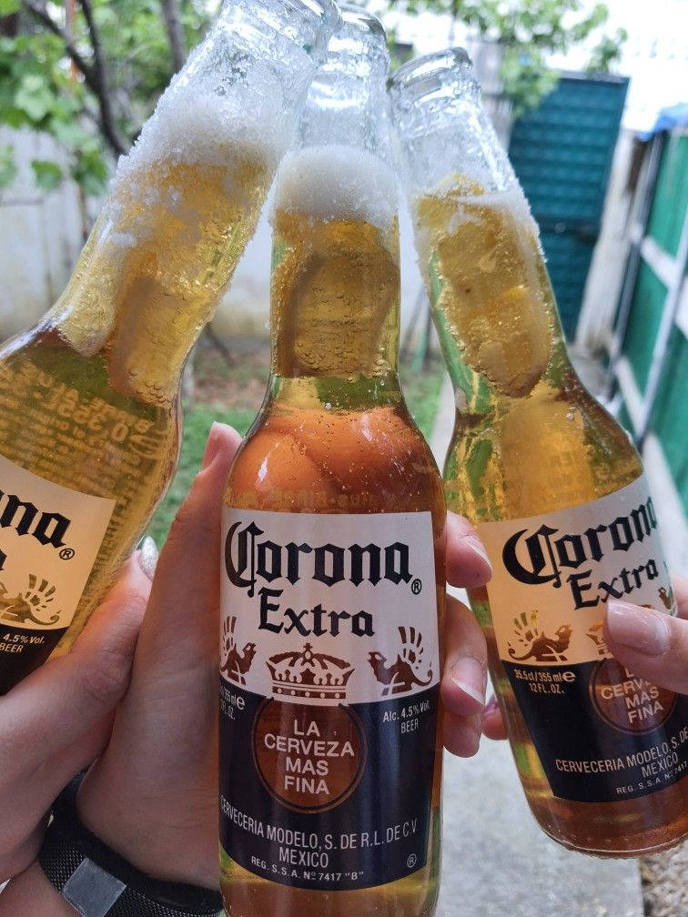 Corona Extra Beer Cheers Wallpaper