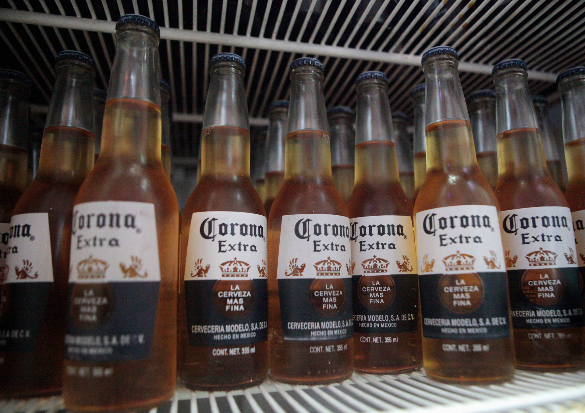 Corona Extra Mexican Beer Wallpaper