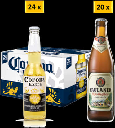 Corona Extraand Paulaner Beer Comparison PNG