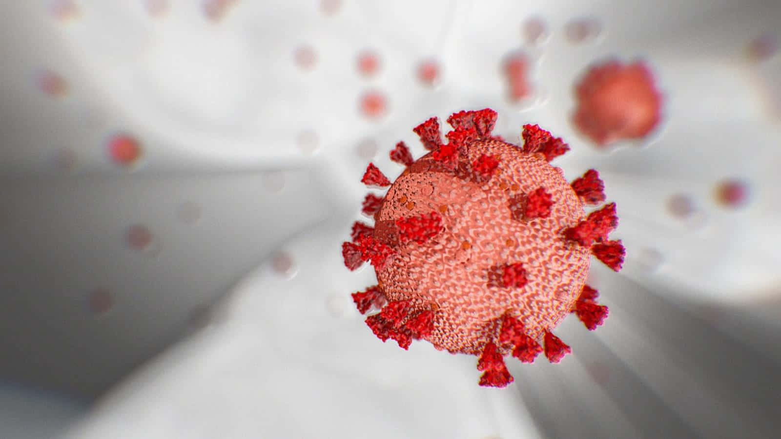 Coronavirus close-up illustration on a dark background