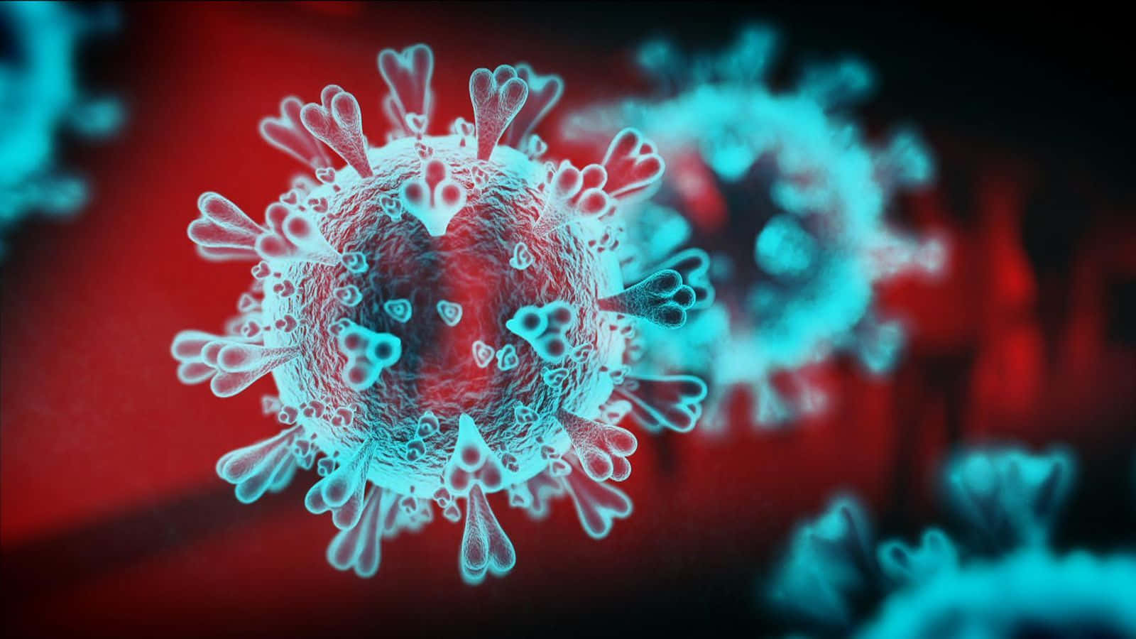 Coronavirusbild I Storleken 1600 X 900