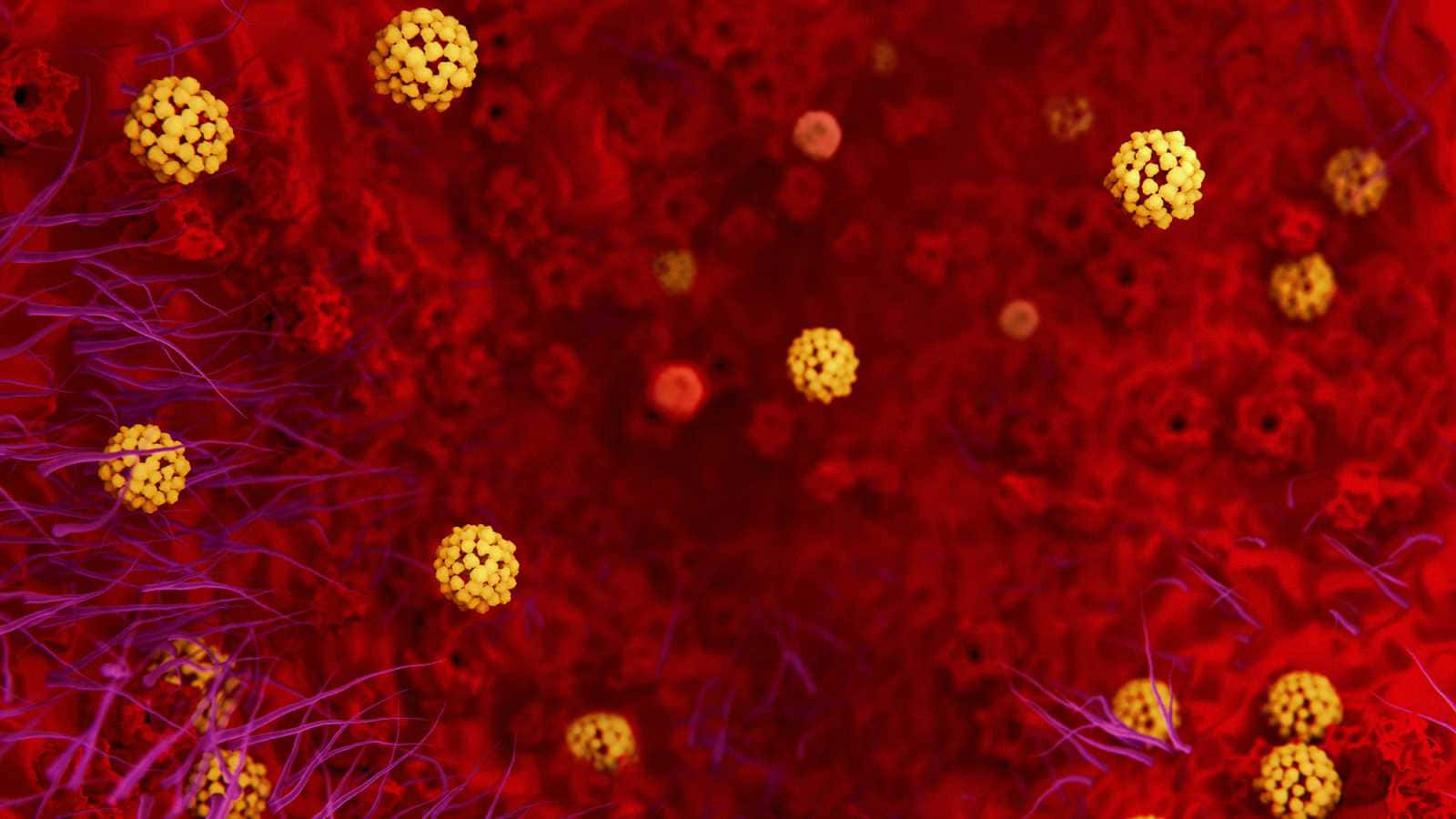 A microscopic view of the Coronavirus