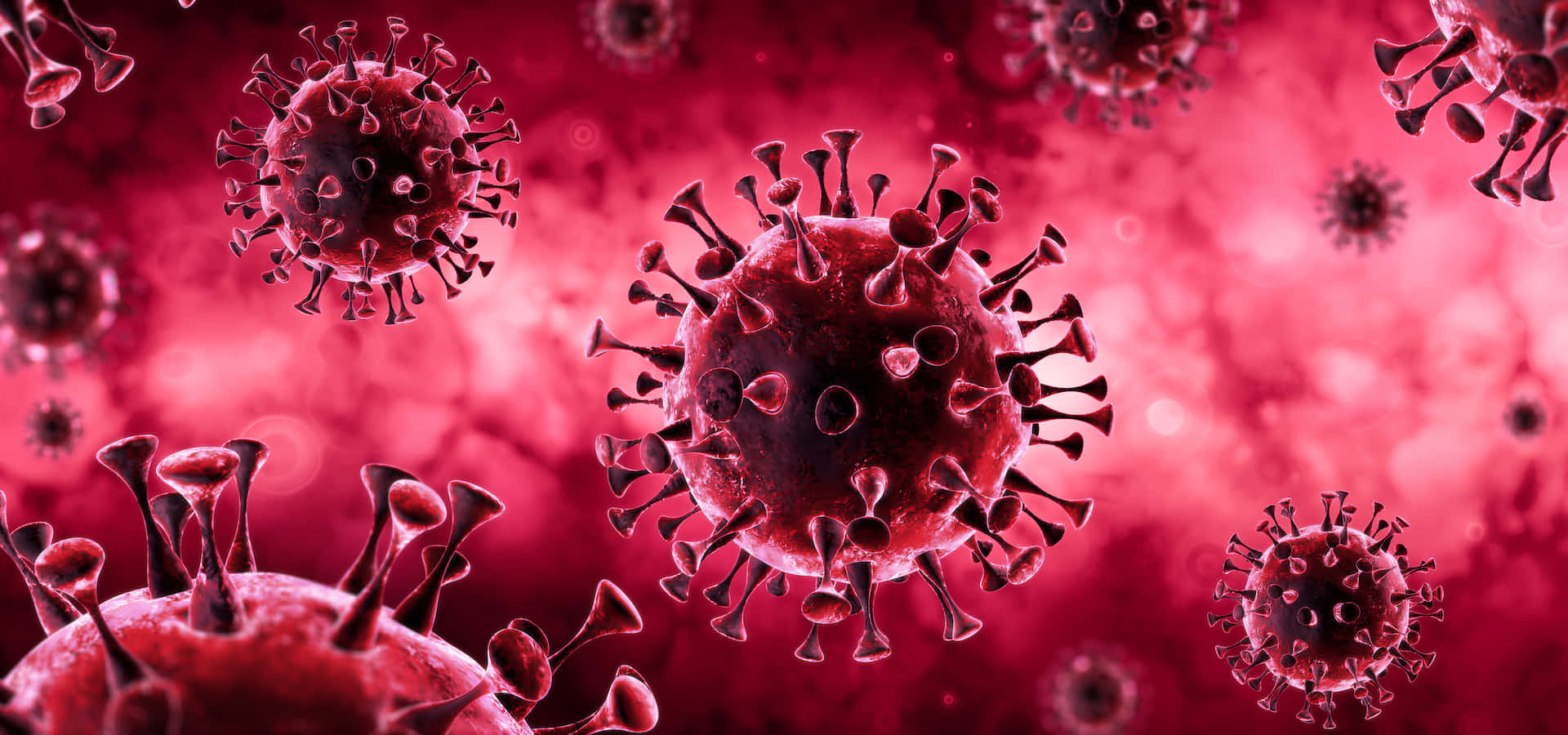 Caption: Coronavirus Pandemic Illustrated