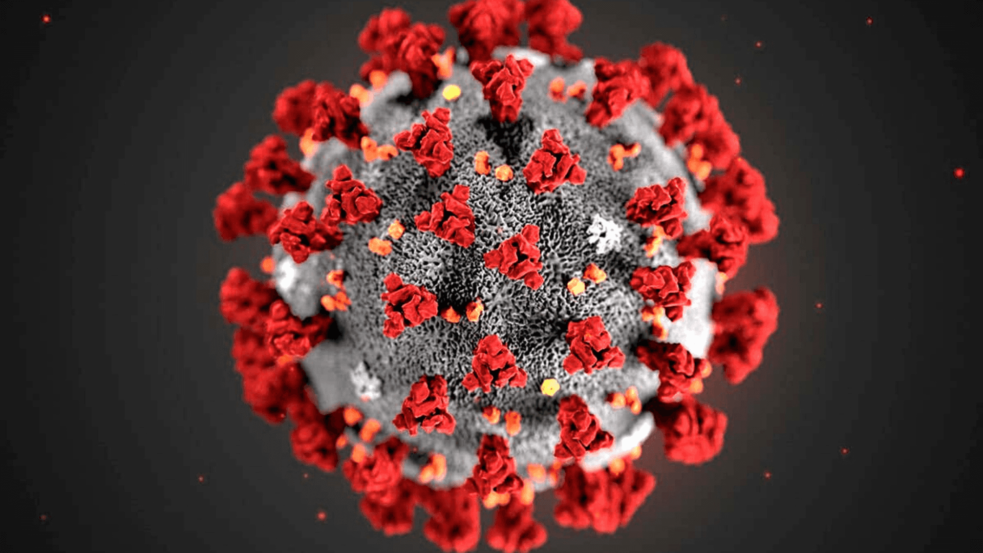 Coronavirusvirus In Rot Und Schwarz.