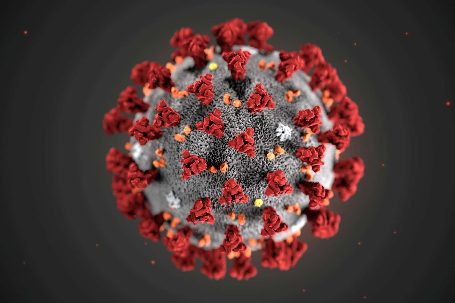 Coronavirus Virus In Red And Black