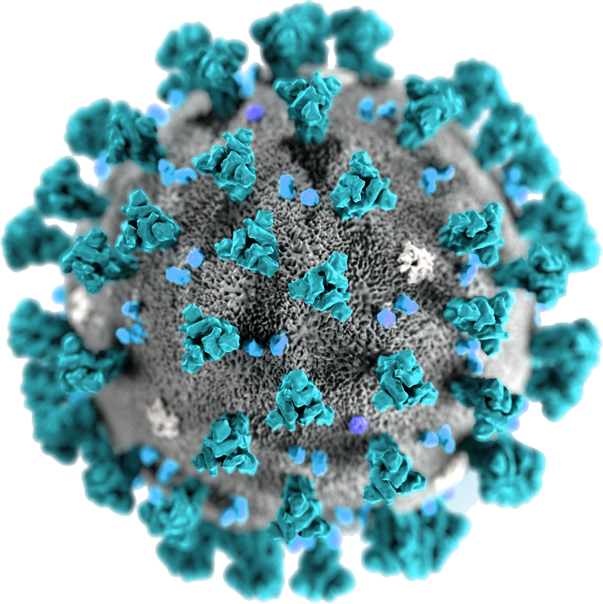 Coronavirus Closeup3 D Rendering PNG