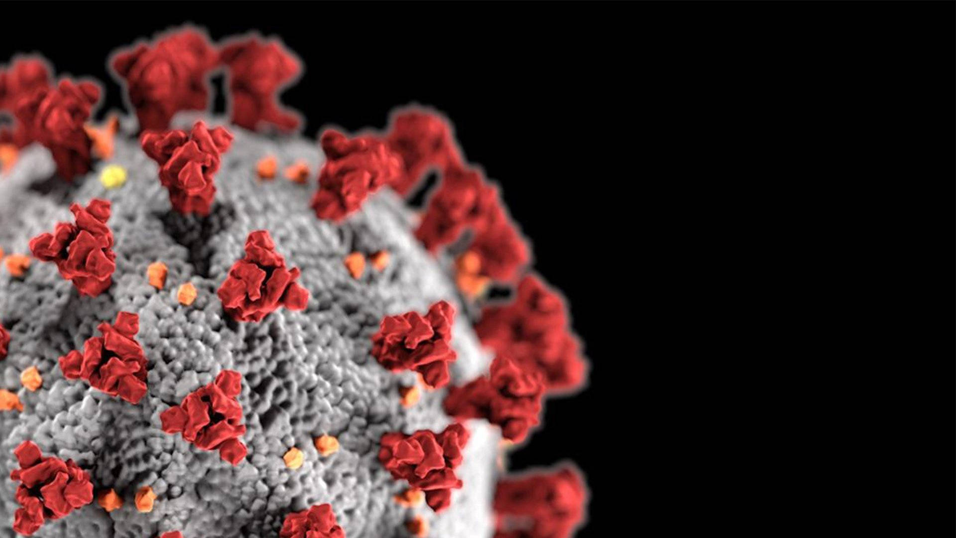 Coronavirus In Red And Grey Background