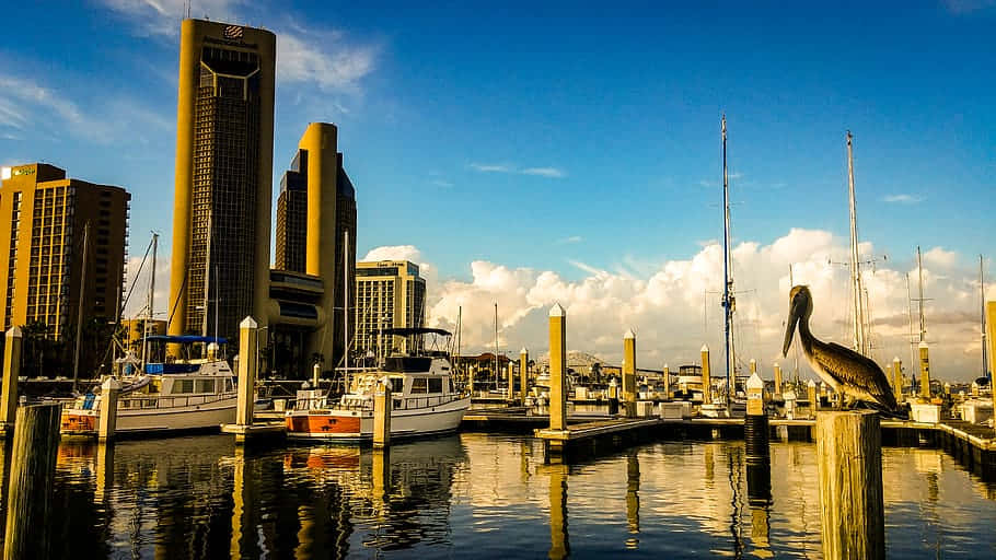 Corpus Christi Marina Sunset Wallpaper