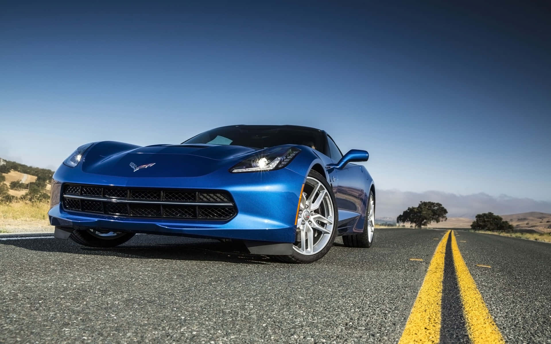 Showcasing a sleek and stylish design, this Chevrolet Corvette will turn heads