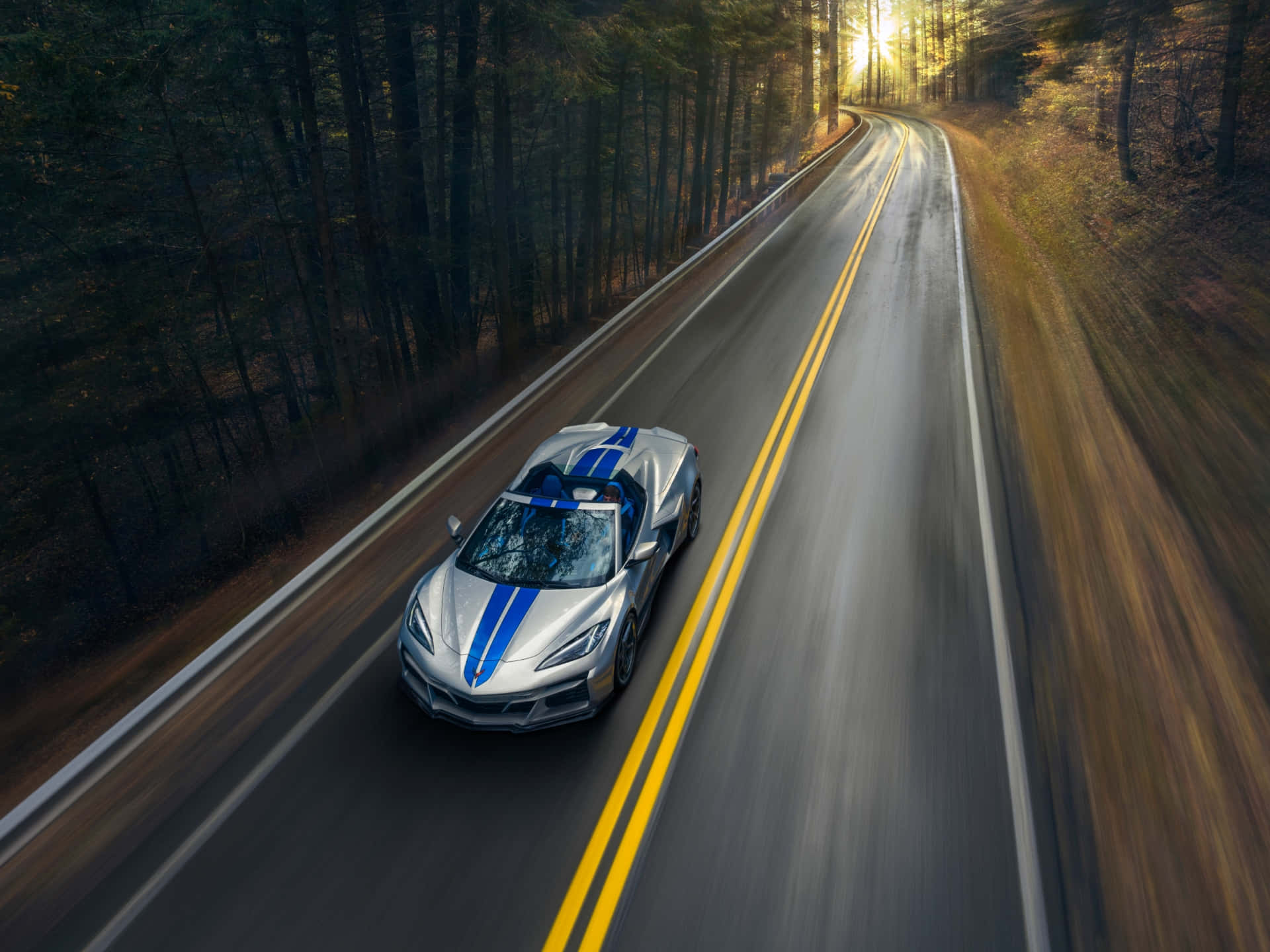 Corvette C8 Speeding Through Forest Road Wallpaper