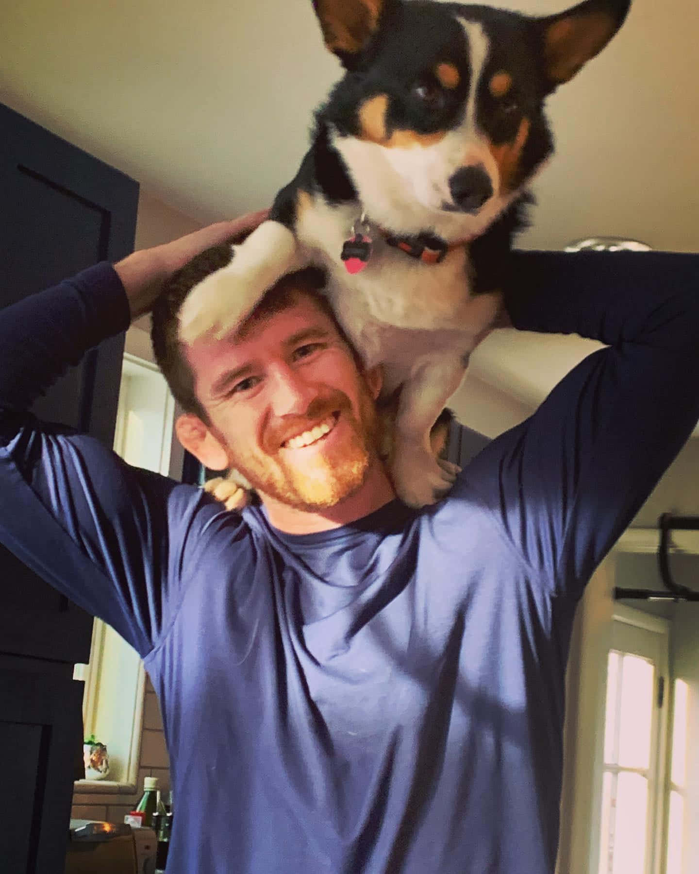 Cory Sandhagen With Pet Corgi Wallpaper