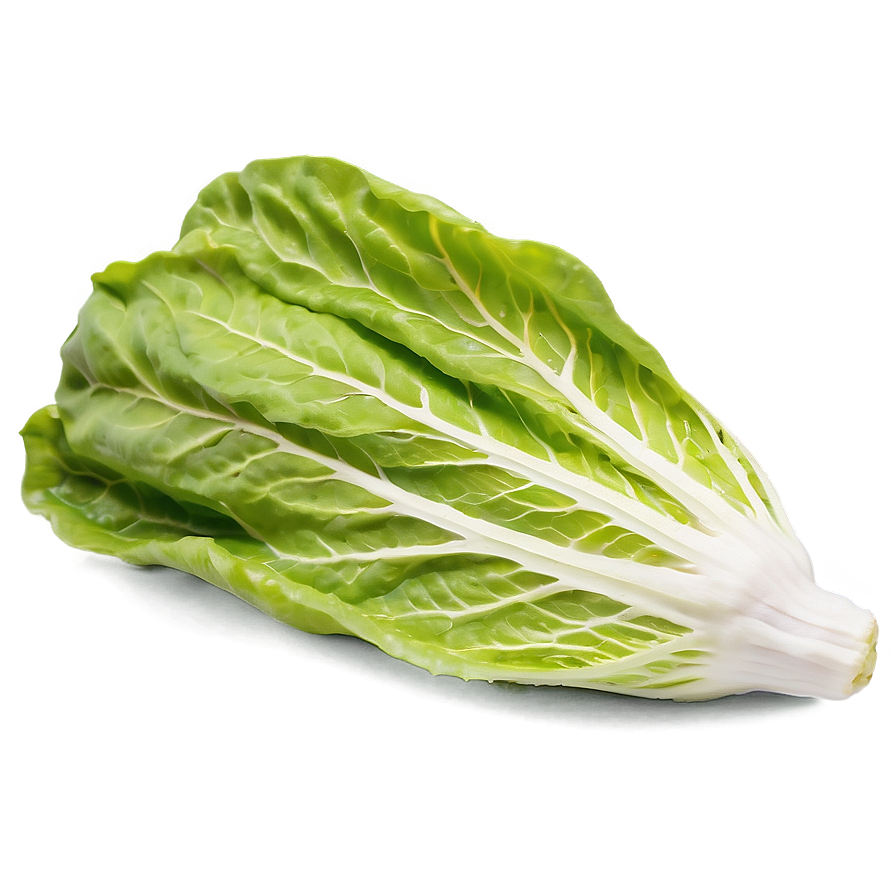 Download Cos Lettuce Png Enh | Wallpapers.com