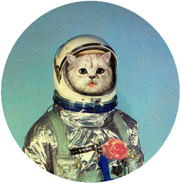 Cosmic Cat Astronautwith Rose PNG