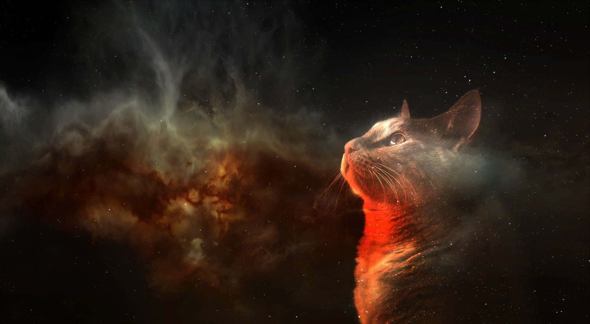 Cosmic Cat Nebula Wallpaper