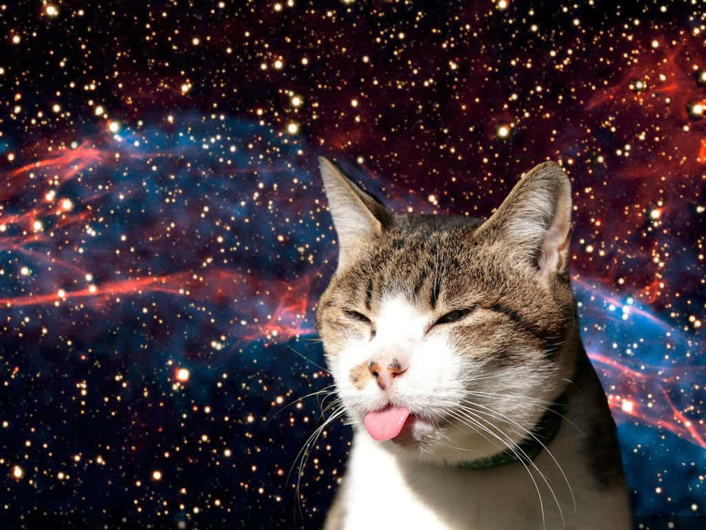 Cosmic Cat Tongue Out Wallpaper