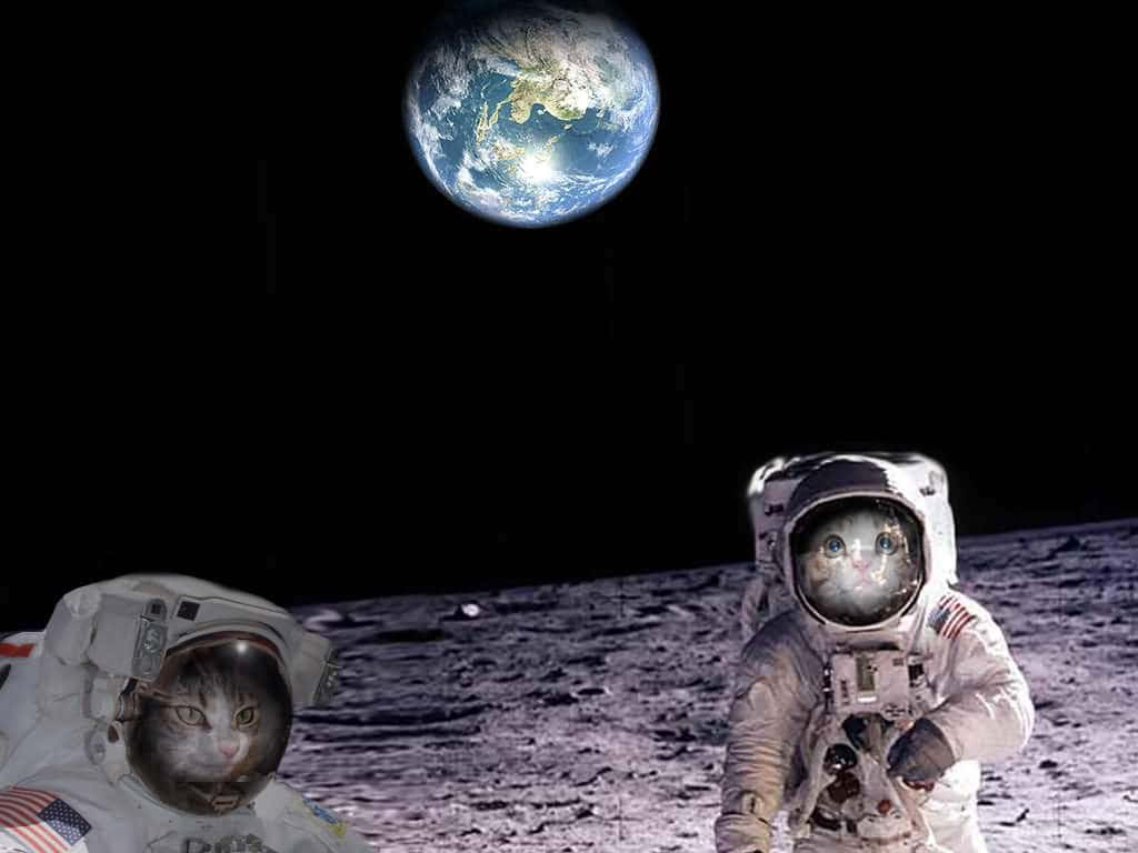 Cosmic Cats Astronauts Moon Landing.jpg Wallpaper