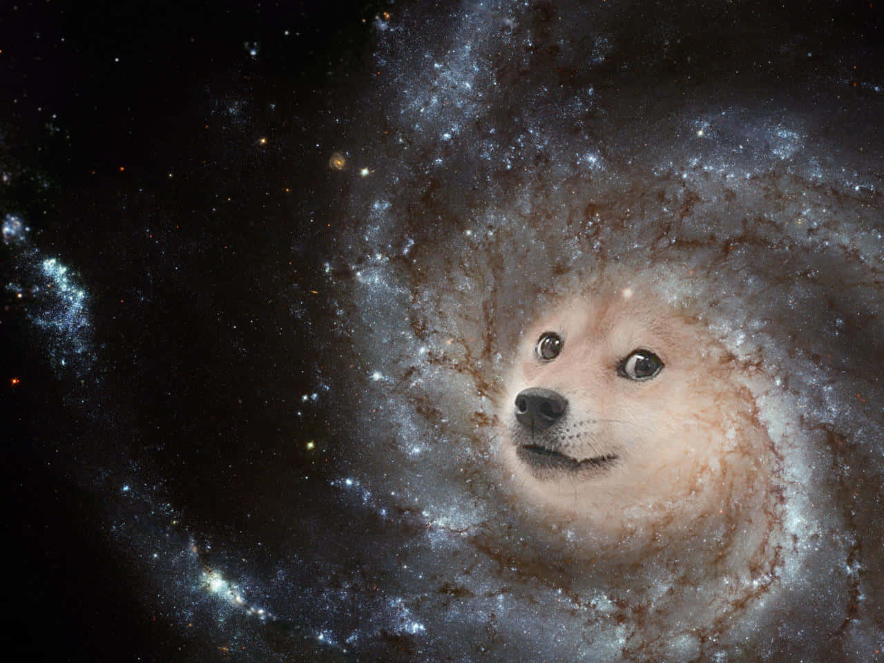 Cosmic Dog Nebula Wallpaper
