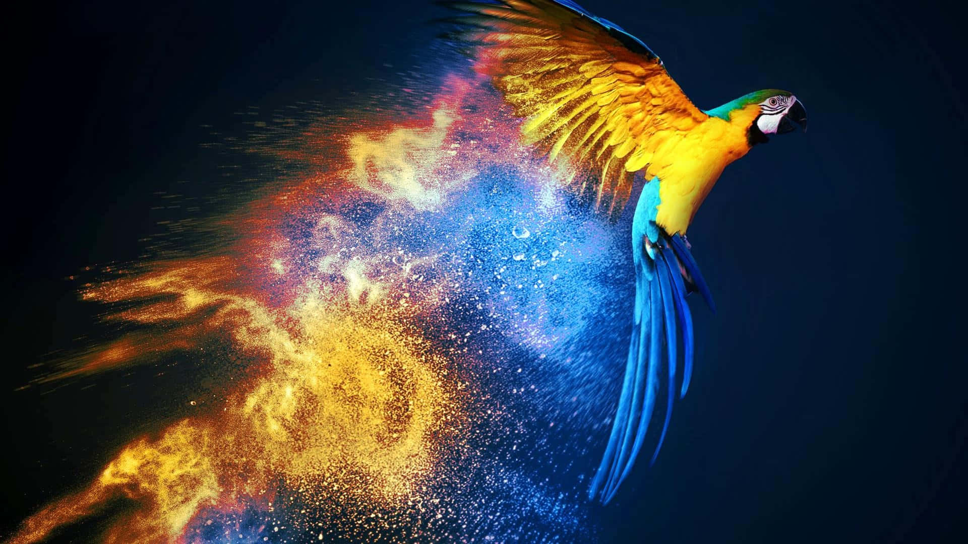 Cosmic Macaw Flight Wallpaper
