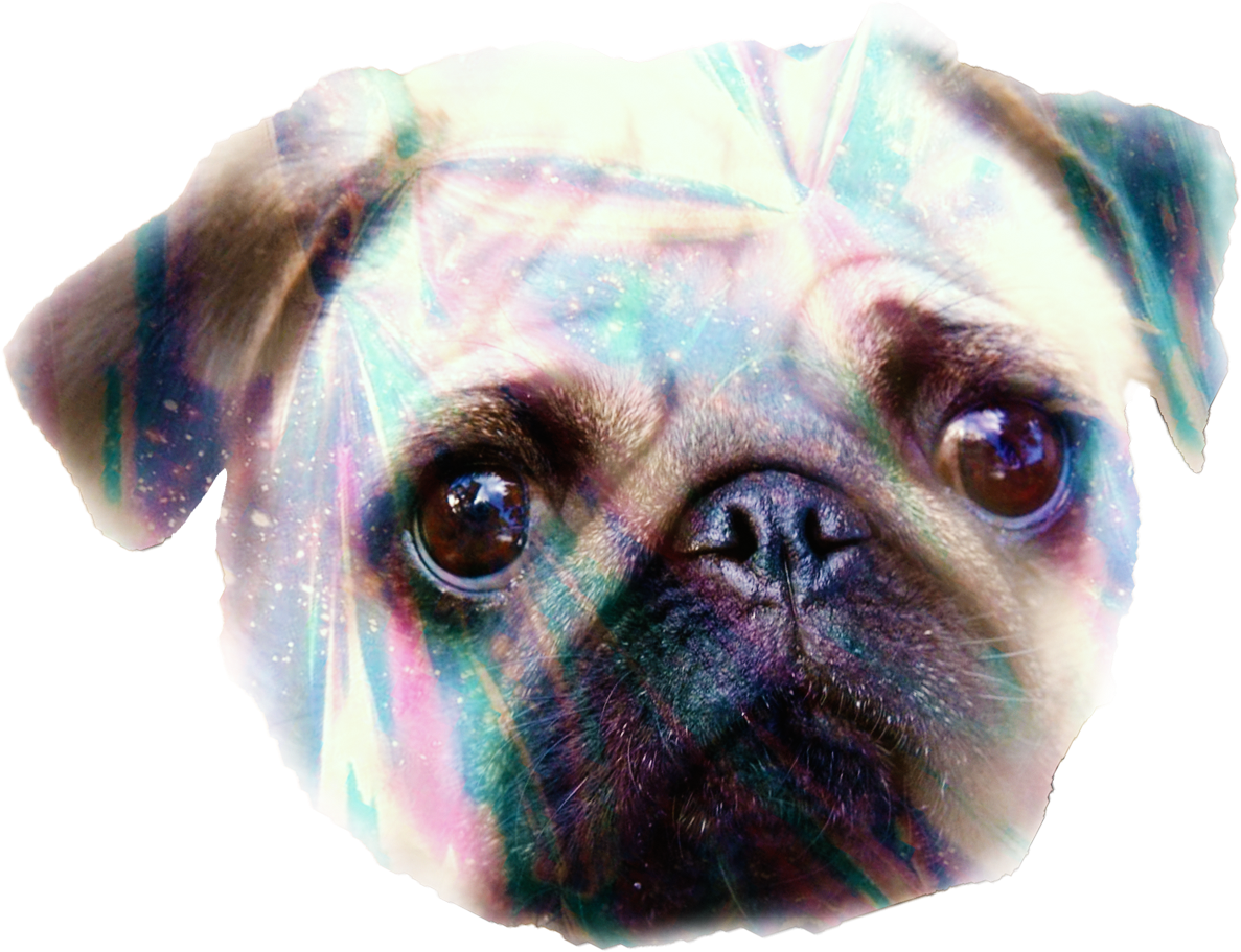 Cosmic Pug Portrait PNG