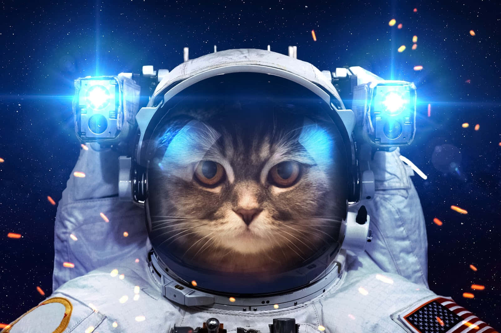 Cosmic Whiskers Astronaut Cat.jpg Wallpaper